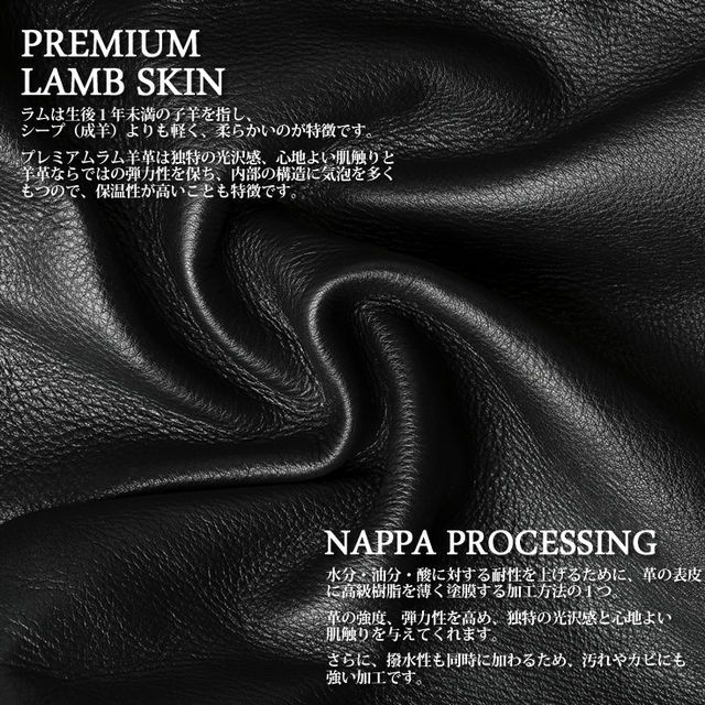 Paris Collection Brand 本革 ハイネック レザーブルゾン メンズ パリ